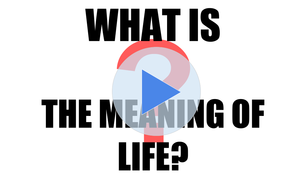 what-is-the-meaning-of-life